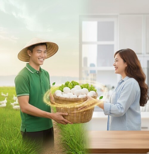 Quy trình sản xuất