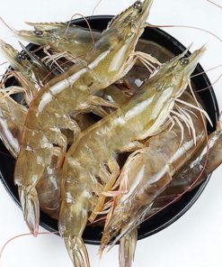 tôm thẻ chân trắng Duy Phát